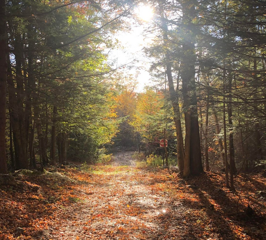 Green Maple Farms